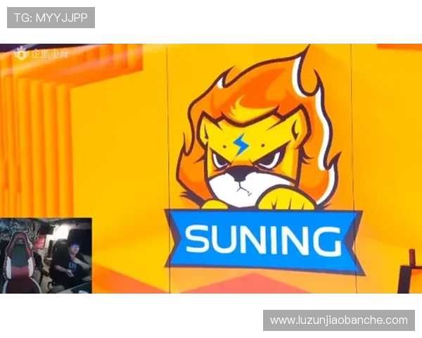 WE战队的整体压制体系解析与英雄联盟战术的深度剖析